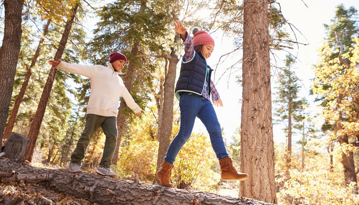 Zwei Kinder, balancieren im Wald über einen Baumstamm.