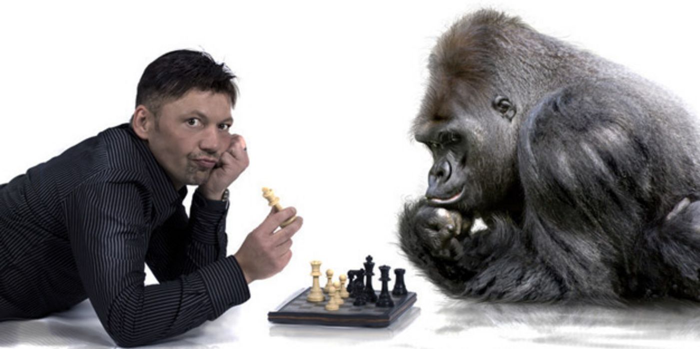 Mensch und Affe spielen Schach.