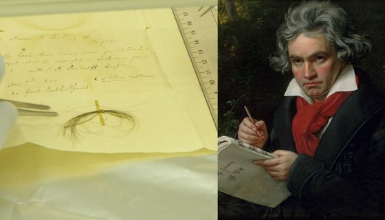 Beethovens Haarlocke und ein Portrait von ihm.