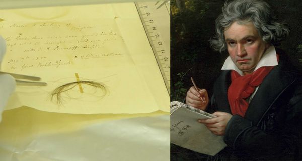 Beethovens Haarlocke und ein Portrait von ihm.