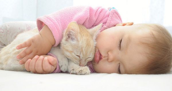 Niedliches Baby, rosa Jäckchen, rotblonde Haare, auf der Seite liegend, schlafend, mit ebenfalls rotblondem kleinen Kätzchen im Arm