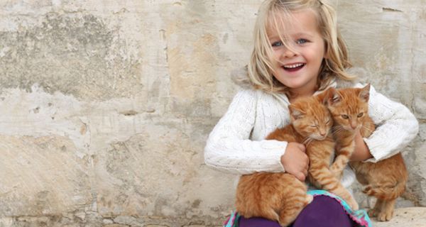 Blondes Mädchen, ca. 5 Jahre alt, lachend, mit zwei rotgestreiften Katzen im Arm