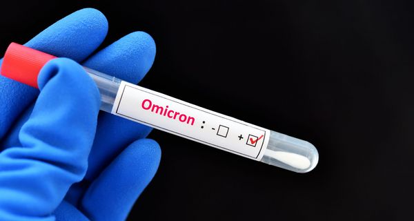 Omikron-Test-Röhrchen.