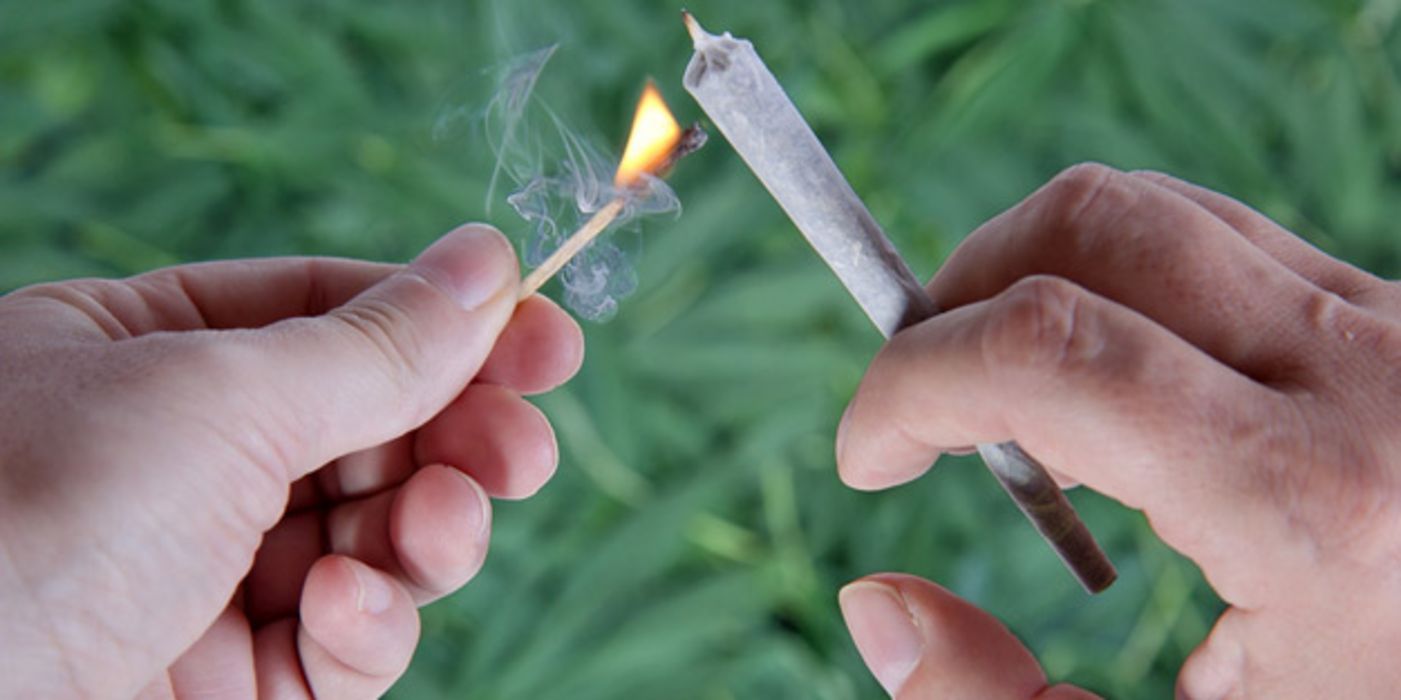 Großaufnahme Hände: links brennendes Streichholz, rechts Joint, der gerade angezündet werden soll. Im Hintergrund Cannabispflanzen