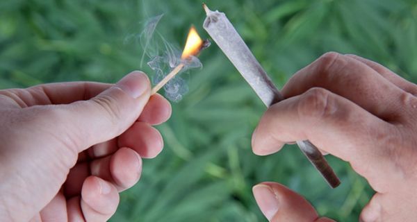 Großaufnahme Hände: links brennendes Streichholz, rechts Joint, der gerade angezündet werden soll. Im Hintergrund Cannabispflanzen