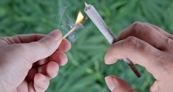 Cannabis macht einer Studie zufolge doch nicht krank.