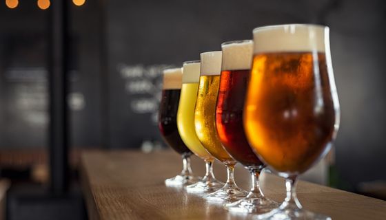 Verschiedene Biersorten hintereinander aufgereiht.
