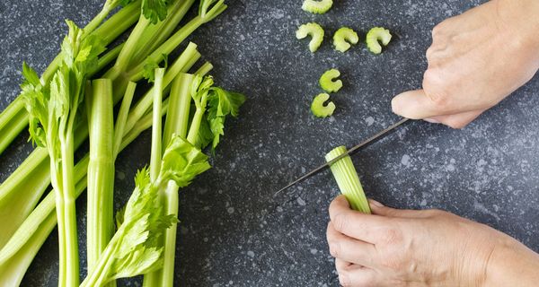 Mann, schneitet Sellerie in kleine Stücke.