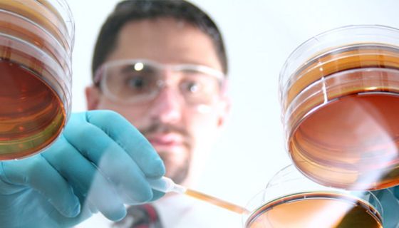 Bakterien aus heilender Erde sind offenbar dazu in der Lage, das Wachstum antibiotikaresistenter Bakterien zu hemmen.