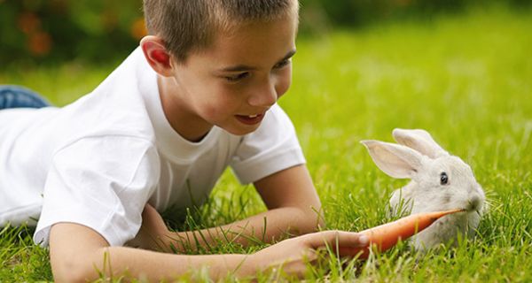 Forscher haben untersucht, ob Haustiere zur Gesundheit von Kindern beitragen.