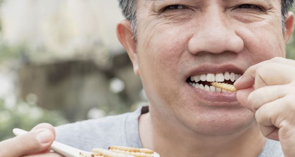 Ein Mann hält einen Löffel mit Larven in seiner rechten Hand. Er steckt sich mit der anderen Hand eine Larve in den Mund und beißt darauf.
