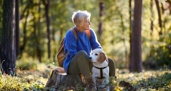 Frau mit Hund, zusammen im Wald.