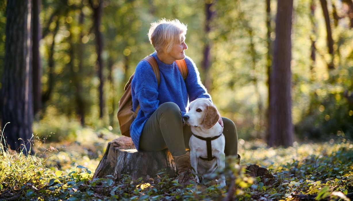 Frau, sitzt im Wald auf Baumstumpf, mit Hund an der Leine.