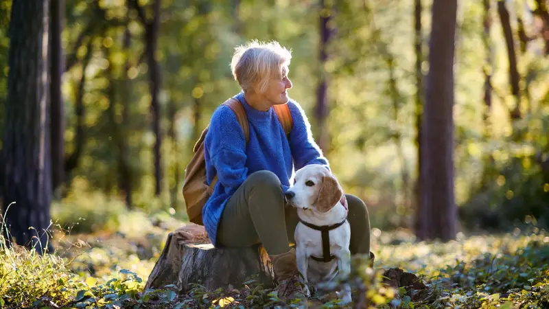 Frau mit Hund, zusammen im Wald.