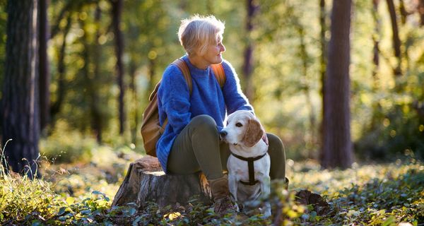 Frau, sitzt im Wald auf Baumstumpf, mit Hund an der Leine.