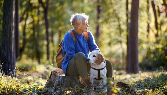 Frau mit Hund, zusammen im Wald.