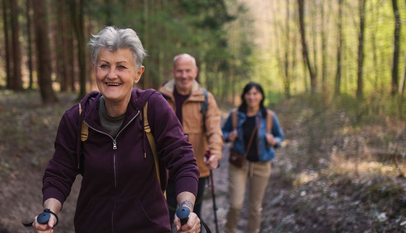 Wandergruppe im Wald