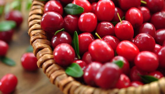 Cranberrys in einem Korb.