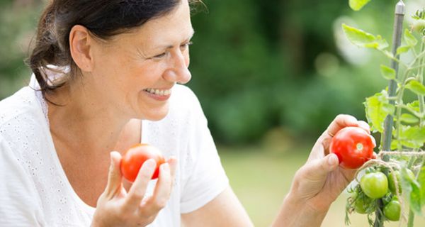 Lebensmittel in Deutschland sind nur selten mit Pflanzenschutzmittel belastet.