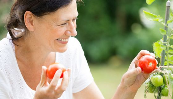 Tomaten könnten vor hellem Hautkrebs schützen.