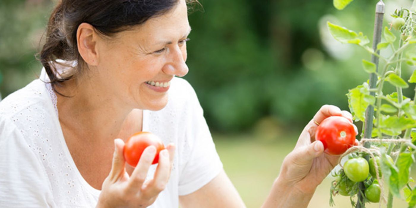 Lebensmittel in Deutschland sind nur selten mit Pflanzenschutzmittel belastet.