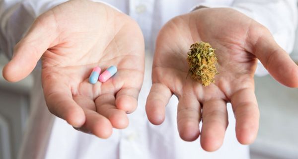 Ab 1. März erhalten Schwerkranke Cannabis auf Rezept.