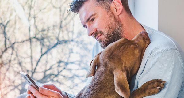Mann mit Hund im Arm blickt auf sein Smartphone.