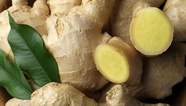 Ingwer im Check: Nutzen bei Diabetes, Entzündungen und Übelkeit