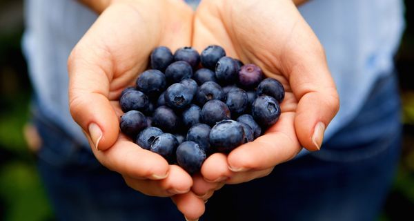 Frau, hält Blaubeeren in der Hand.