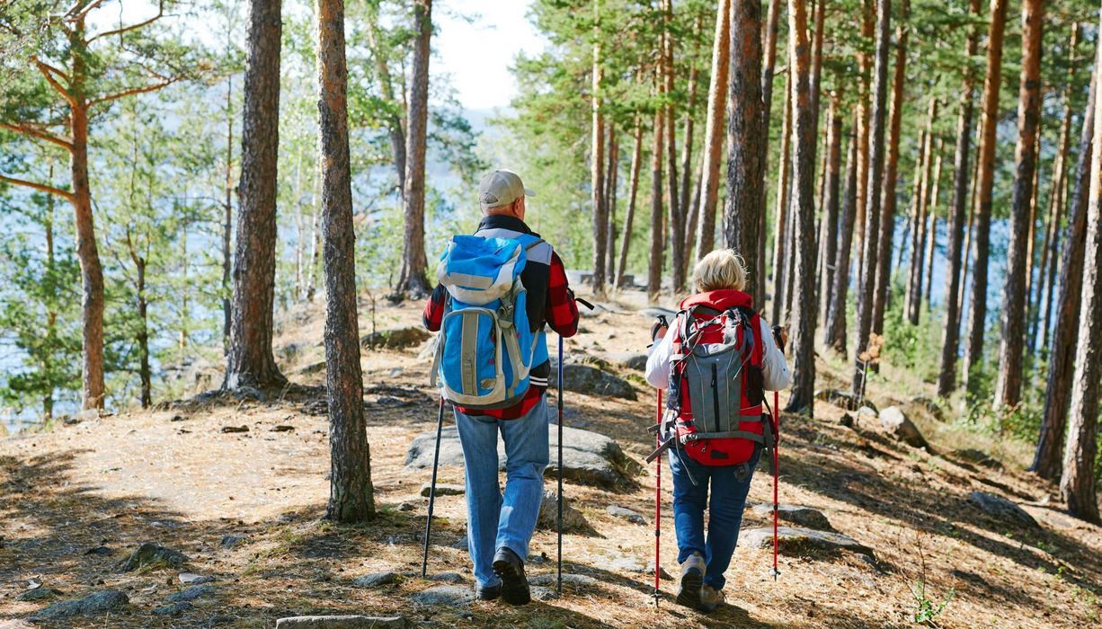 Älteres Ehepaar beim Nordic Walking im Wald. 
