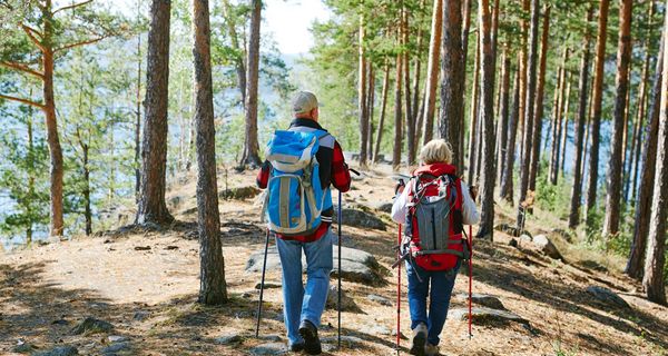 Älteres Ehepaar beim Nordic Walking im Wald. 