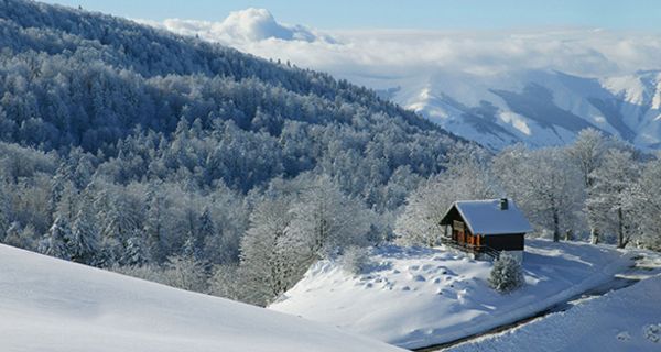 Der Anblick einer Winterlandschaft wirkt sich auf die Handlungskontrolle aus.