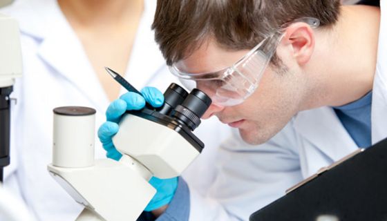 Proteine aus Speichel haben offenbar schützende Eigenschaften.
