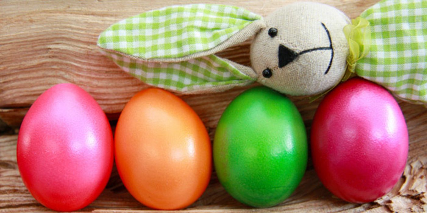 Wussten Sie, dass man Eier am besten mit der Spitze nach unten im Kühlschrank lagert?