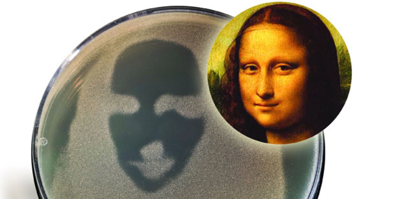 Petrischale mit einem Bakterienrasen, auf dem man die Mona Lisa erkennt; daneben ein Abbild des Originalgemäldes