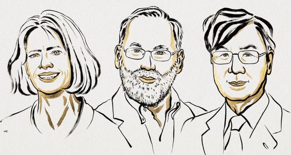 Illustrationen der drei Preisträger