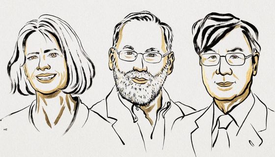 Illustrationen der drei Preisträger