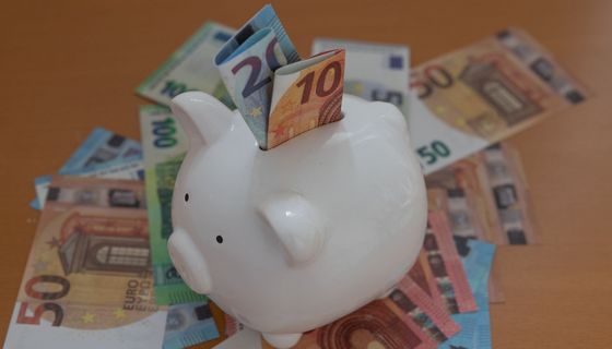 Sparschwein steht auf Euro-Scheinen