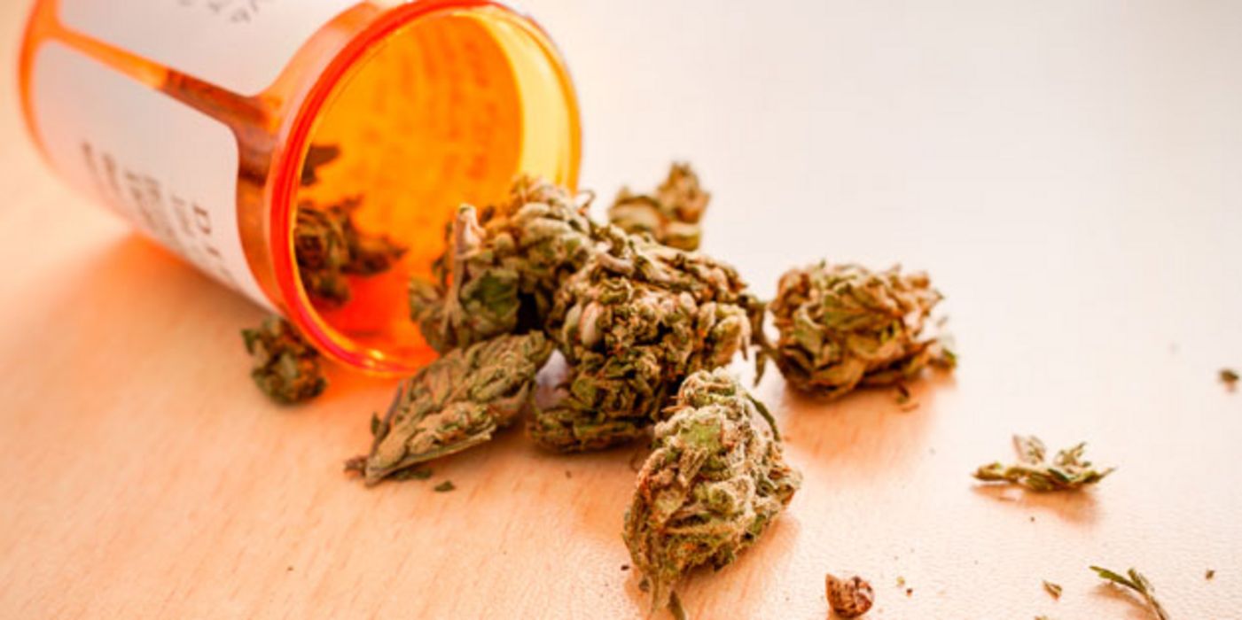 Die Nachfrage nach medizinischem Cannabis ist groß.