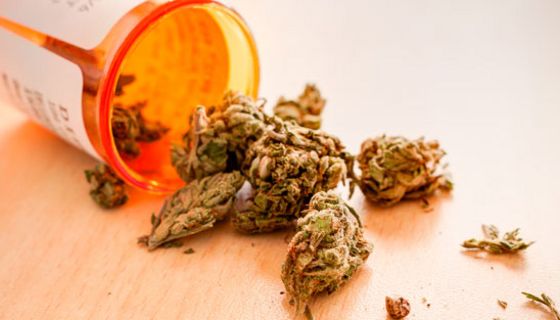 Die Nachfrage nach medizinischem Cannabis ist groß.