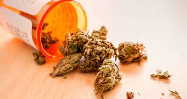 Die Nachfrage nach medizinischem Cannabis ist groß.