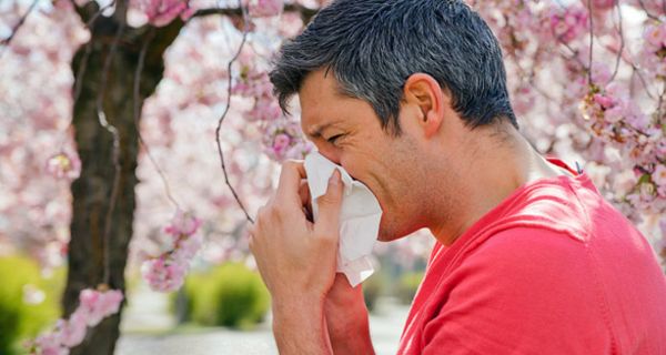 Gegen lästige Allergiesymptome wie beim Heuschnupfen kann man das Immunsystem trainieren.