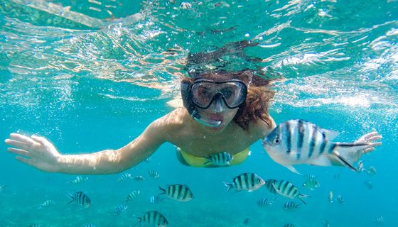 Eine Frau schnorchelt mit einer Taucherbrille durch einen Fischschwarm.