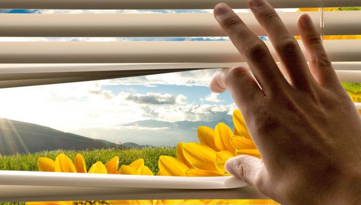 Hand an Jalousie, die diese in der Mitte auseinanderzieht und Blick auf Frühlingslandschaft mit gelben Tulpen freigibt