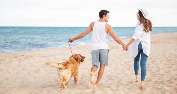 Wenn die Vierbeiner mit in den Urlaub fahren, gilt es, einiges zu beachten.