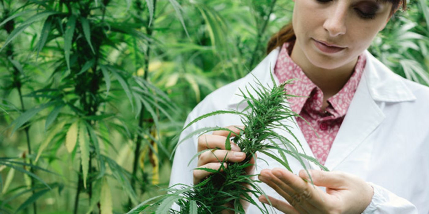 Cannabis darf künftig auf Rezept in der Apotheke abgegeben werden.