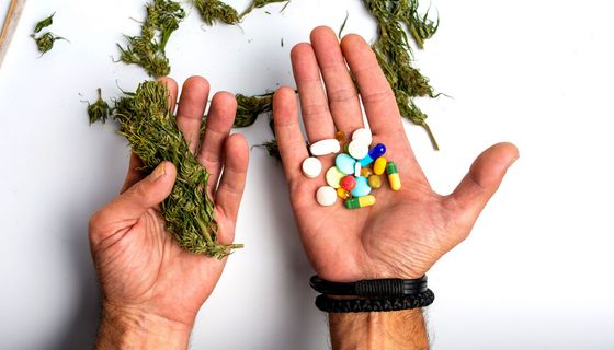 Mann hat in einer Hand Cannabisblüten und in der anderen bunte Tabletten.
