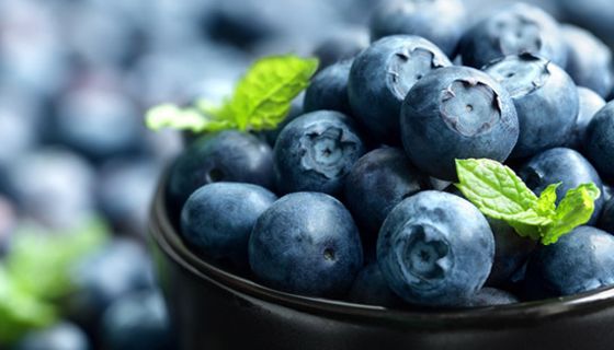 Blaubeeren enthalten Pflanzenfarbstoffe, die für die Medizin interessant sind.