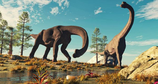 Zwei große Dinosaurier mit langen Hälsen stehen an einem Wasserloch