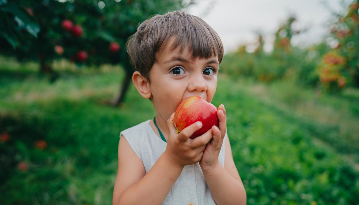 Kleiner Junge beißt in einen Apfel.